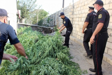 Xaçmazda bir yük avtomobili narkotik aşkarlandı (FOTO)