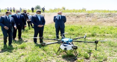Ağcabədidə qarğıdalı sahəsi müasir dronlarla dərmanlanıb (FOTO)