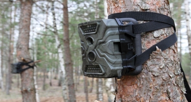 Meşələrdə quraşdırılan kameraların sayı artırılacaq