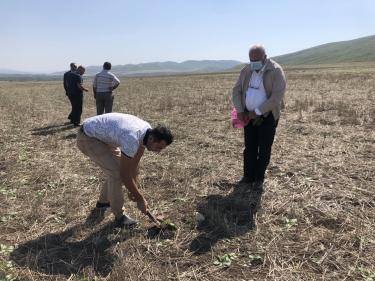 Oğuzda heyvanların kütləvi zəhərlənməsinin qarşısı alınıb (FOTO)