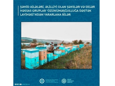 Şəhid ailələri, əlilliyi olan şəxslər və digər həssas qruplar üçün daha bir dəstək layihəsi