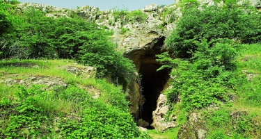 Ermənistan Azıx mağarasında qanunsuz yolla aşkarladığı qədim nümunələri xaricə satıb