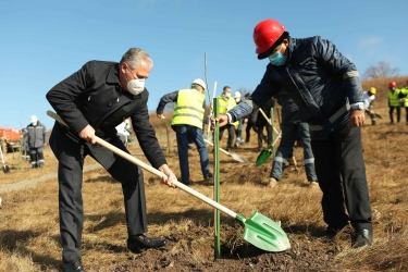 “AzerGold” QSC-nin “Çovdar” mədənində ağacəkmə aksiyası keçirilib (FOTO)