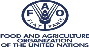 FAO ilə Azərbaycanın 2021-2025-ci illər üzrə yeni əməkdaşlıq proqramının hazırlanması başa çatır