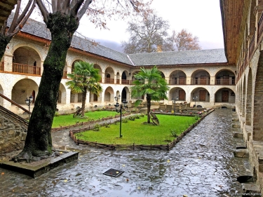 Baş Prokurorluq: Qırılmış əsas budaq sağlam olub