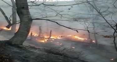 Əlverişsiz hava şəraiti Hirkan Milli Parkında yanğının söndürülməsinə ciddi maneə yaradır - FHN (VİDEO)