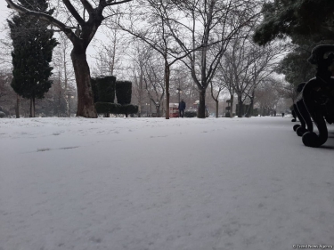 Qarlı hava neçə gün davam edəcək?