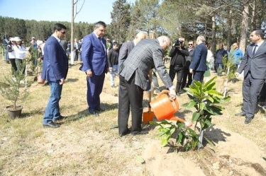 Sumqayıtda jurnalistlər ağac əkdi (FOTO)