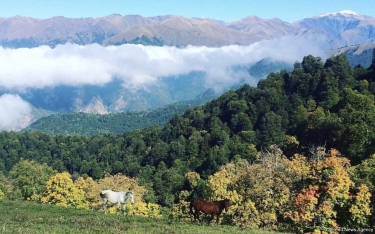 Şəkiyə də ilk qar yağdı (FOTO)