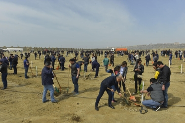 Prokurorluq əməkdaşları növbəti ağacəkmə kampaniyası keçiriblər (FOTO)