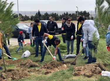 EY ilk kütləvi ağac əkini tədbirini keçirdi (FOTO)