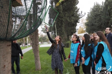 Heydər Əliyev Fondunun vitse-prezidenti Leyla Əliyeva IDEA-nın “Urban Ecology” layihəsi çərçivəsində aksiyada iştirak edib (FOTO)