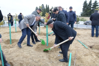 Xəzər rayonunda YAP-ın 27 illiyi münasibətilə ağacəkmə aksiyası keçirilib (FOTO)