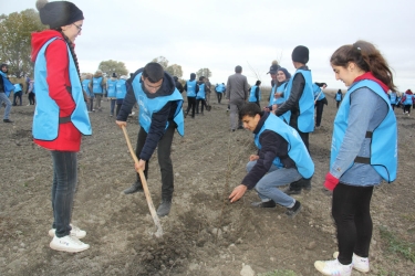 Şabran və Xaçmazda aztəminatlı ailələr üçün meyvə bağları salınıb (FOTO)