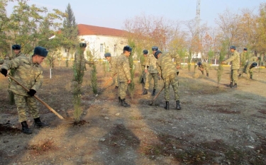 Azərbaycan Ordusunda ağacəkmə aksiyası davam edir (FOTO)