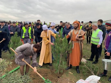 Abşeron sakinləri ağacəkmə kampaniyasında fəal iştirak edirlər (FOTO)