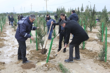 “Təmiz Şəhər” ASC-nin ərazisində 2 min ağac əkilib (FOTO)