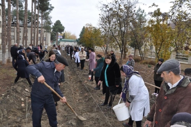 Zərdablılar “Bir gündə 650 min ağac əkək” təşəbbüsünə fəallıqla qoşulublar (FOTO)