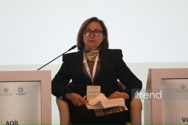 Milli-mənəvi dəyərlərlə bağlı dərslər yeni Dövlət Standartlarına salına bilər - Vəfa Yaqublu