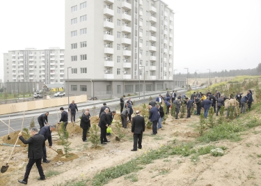 MİDA Heydər Əliyevin doğum gününə həsr olunmuş ağacəkmə aksiyası keçirib (FOTO)