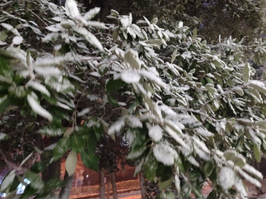 Dağlıq və dağətəyi rayonlarda qar yağacağı gözlənilir - XƏBƏRDARLIQ