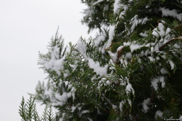 Rayonlara qar yağır - FAKTİKİ HAVA