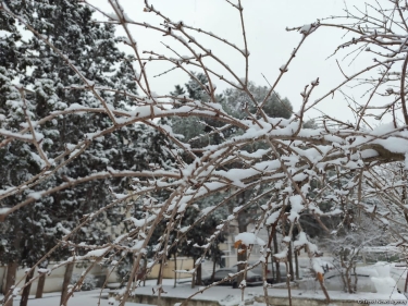 Naxçıvanda qarın hündürlüyü 29 santimetrə çatıb