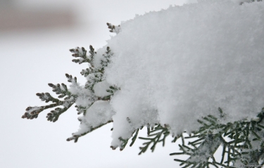 Rayonlara qar yağır - FAKTİKİ HAVA (FOTO)