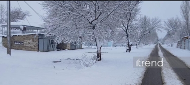 Şahbuzda qar örtüyü 49 santimetrdir