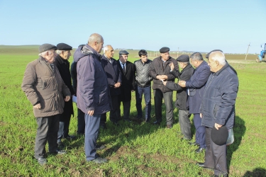 “Alimlər fermerlərin yanında” layihəsinin icrası davam etdirilir (FOTO)