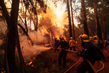 45 il ərzində təhlükəli hava günləri üç dəfə artıb: ölkələr yanğınla mübarizəni çatdırmır