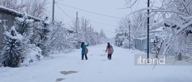 Bu rayonlara qar yağır