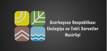 Evdə qalın ki, sabahlarınız sevdiklərinizlə açılsın! (VİDEO)