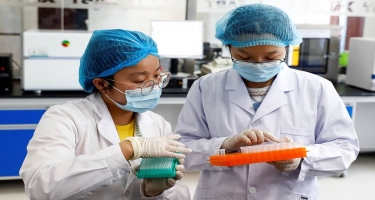 Çində pandemiyaya səbəb ola biləcək yeni donuz qripi aşkarlanıb